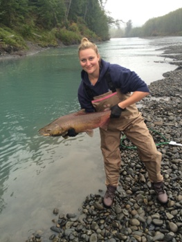 Nice looking Hoh river King salmon
