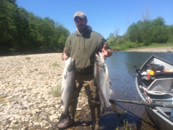 Spring Chinook salmon caught on the Kalama river