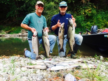 Summer Chinook salmon from the Nisqually river