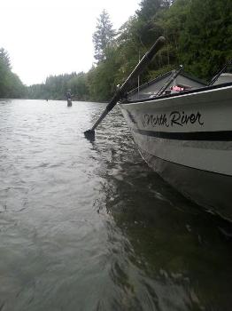 Wading in the river fishing for Hoh river Steelhead salmon