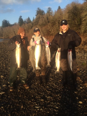Some great looking winter Steelhead salmon caught during a guided fishing trip on the Wynoochee river